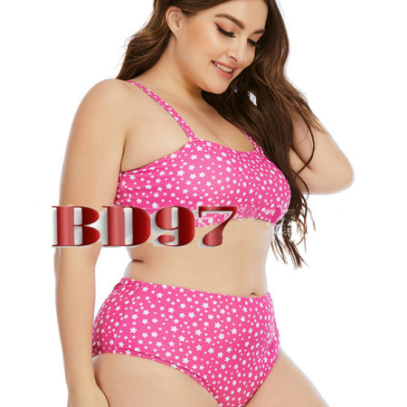 Grande taille - Bikini