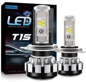 T1S