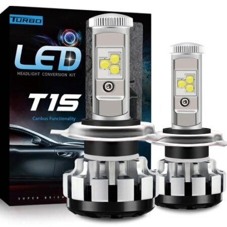 T1S