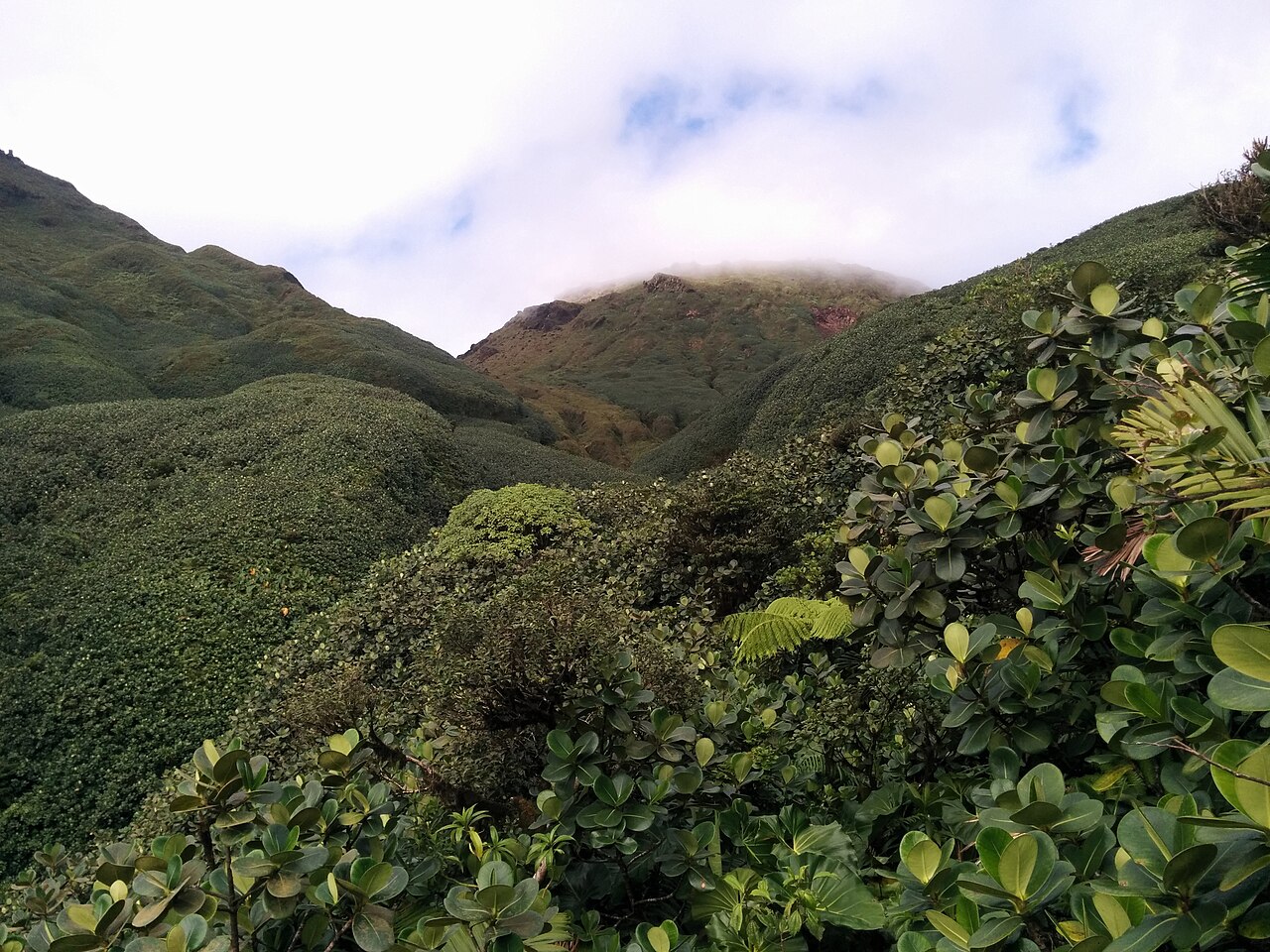 Montagne, forêt et rivières en Guadeloupe