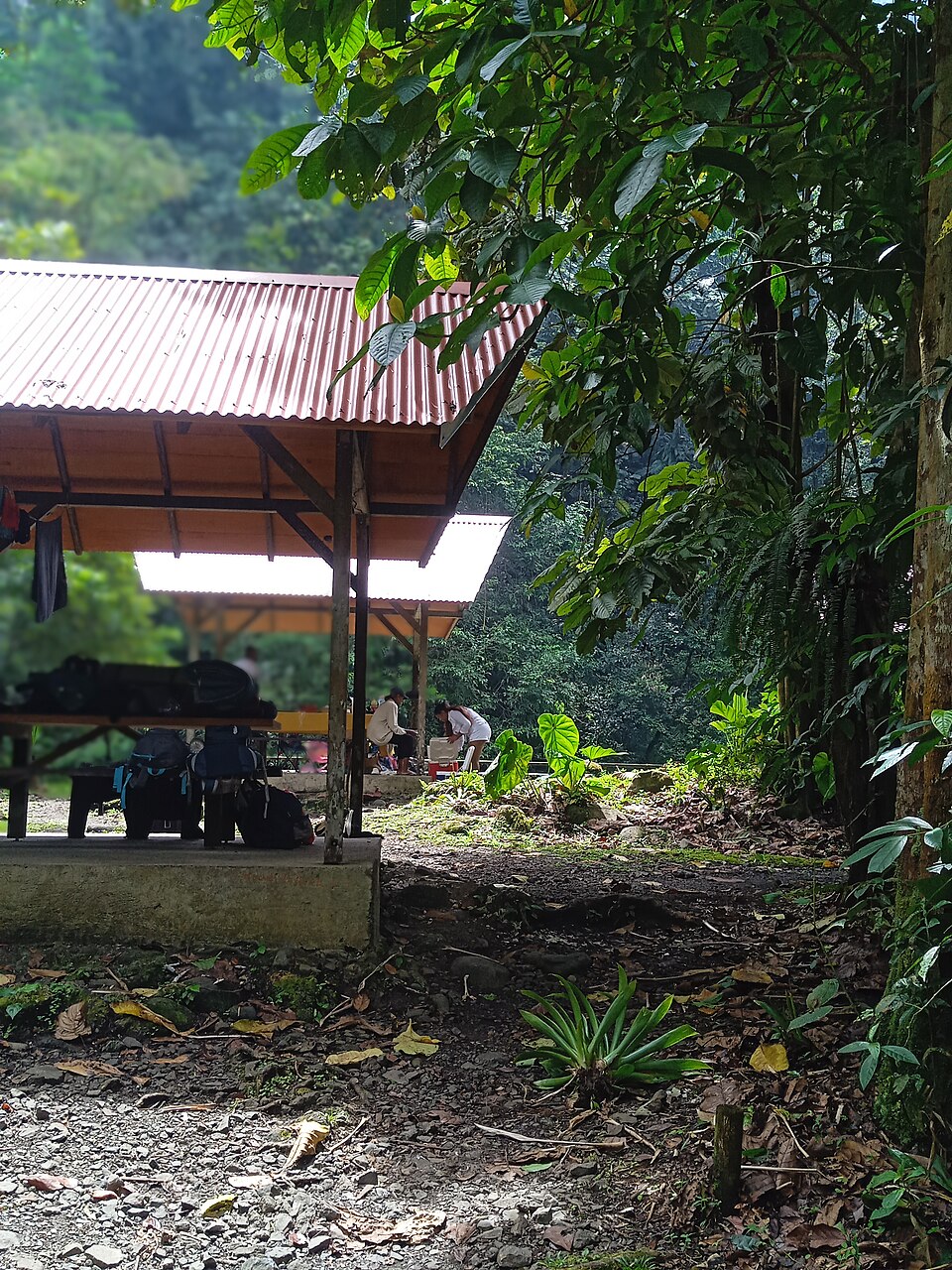 Aire de pique-nique de Corossol — Guadeloupe