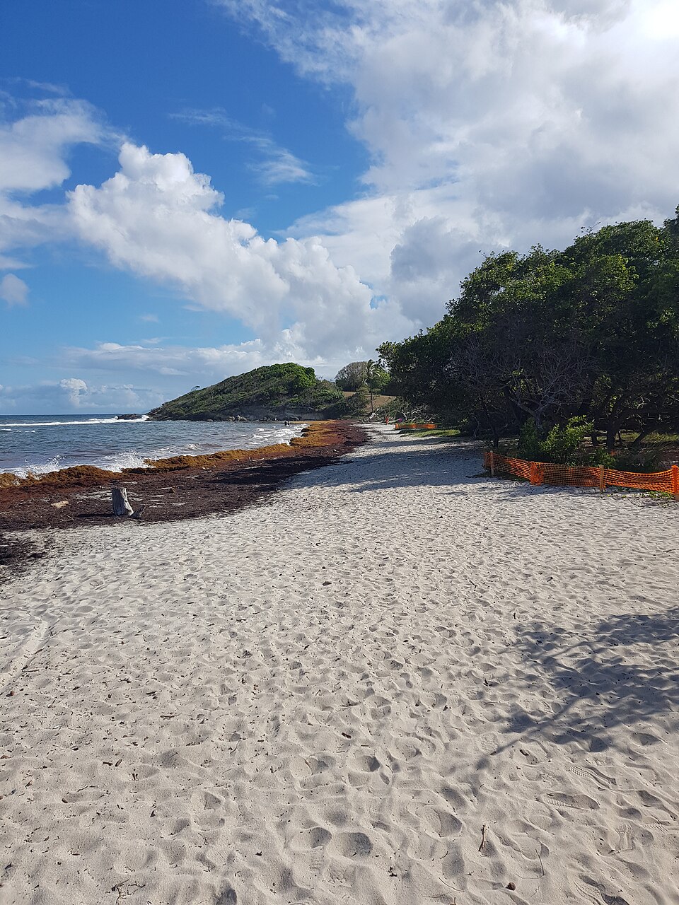 Plage de Saint-Félix — Guadeloupe